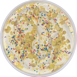 Batter Up Ice Cream